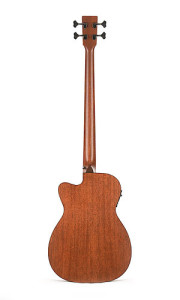 00C-16GTAE Bass_b