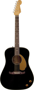 Fender Tom Petty Kingman