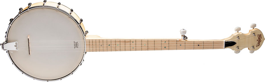 Washburn Guitars.Banjo B102