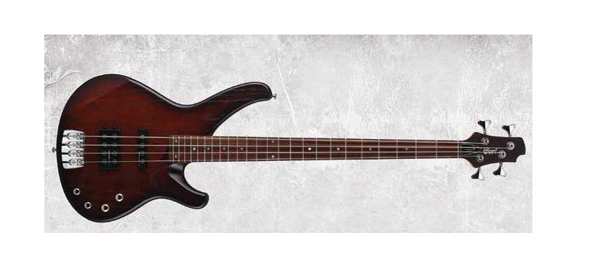 Arona4