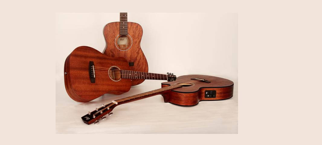 Cort caoba