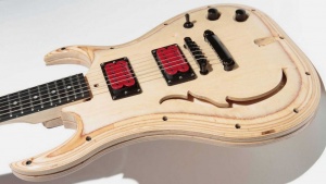 evolution-guitar-970-80