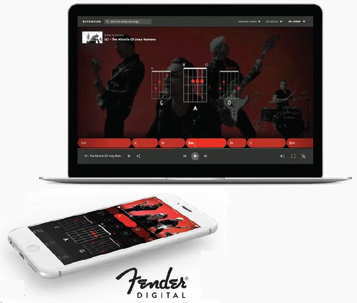 fender dig