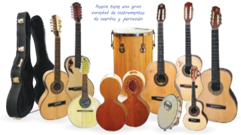 Rozini instrumentos
