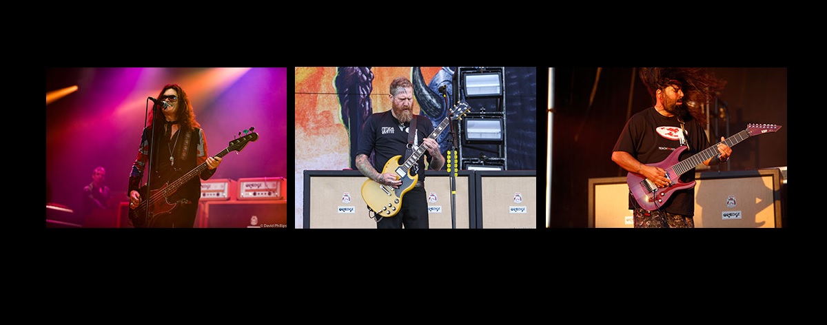 Orange Amplification