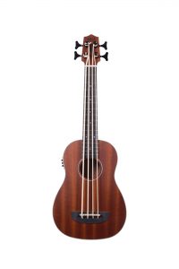UBASS PSGR FS F
