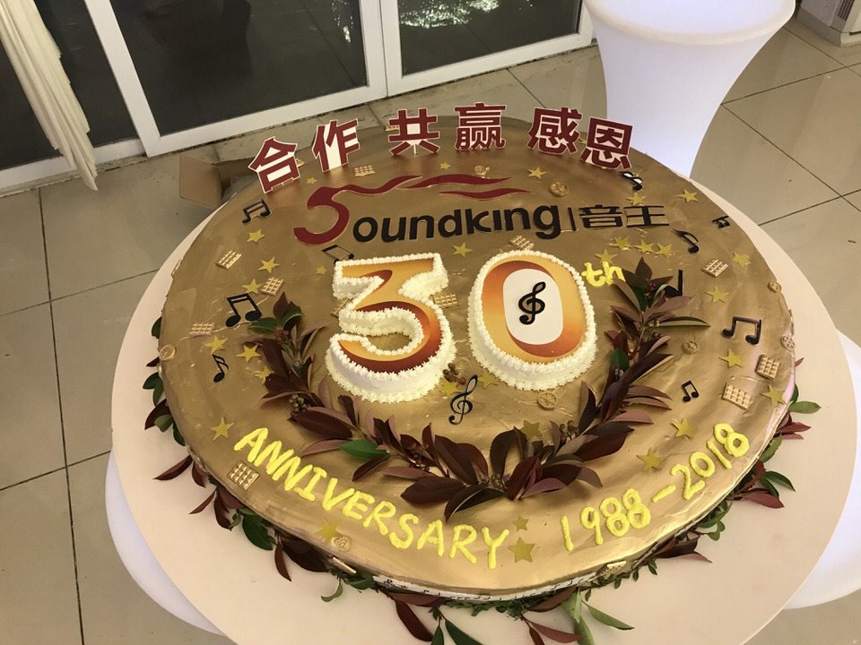 soundking audio company