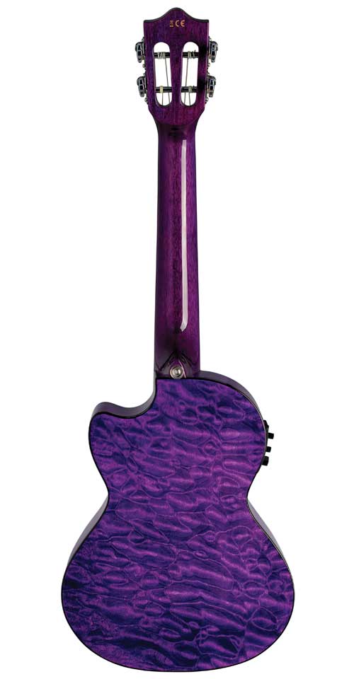 QM-PUCET-back