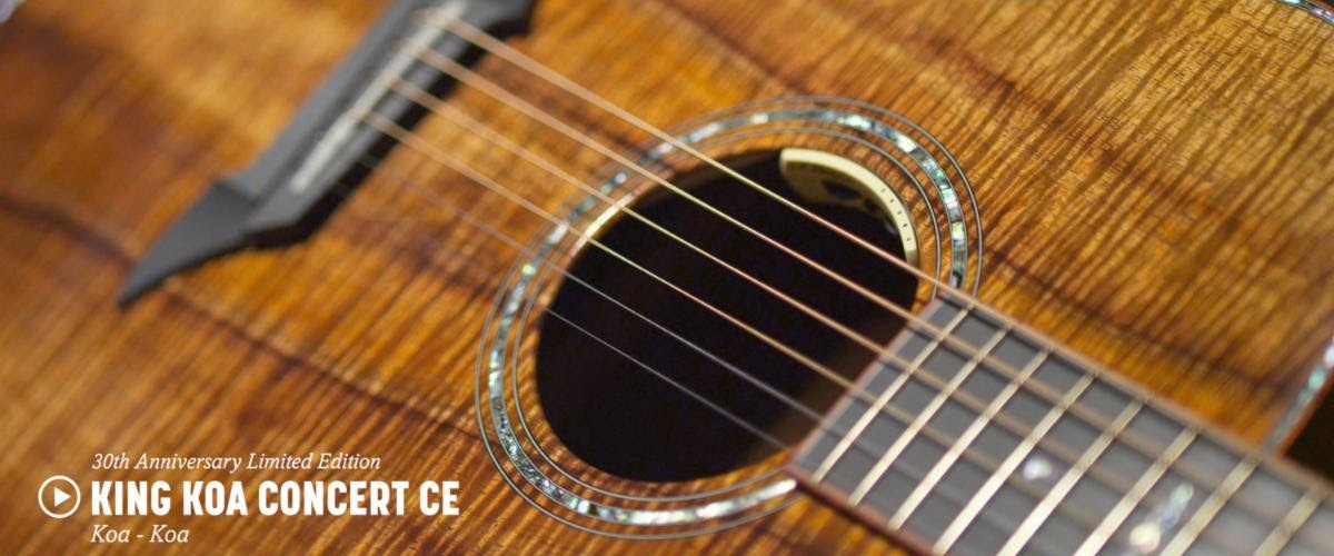 Breedlove king koa 1200×500